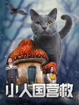 sp训练